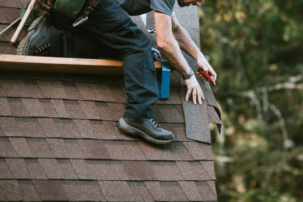 Best Storm Damage Roof Repair  in Watkins Glen, NY